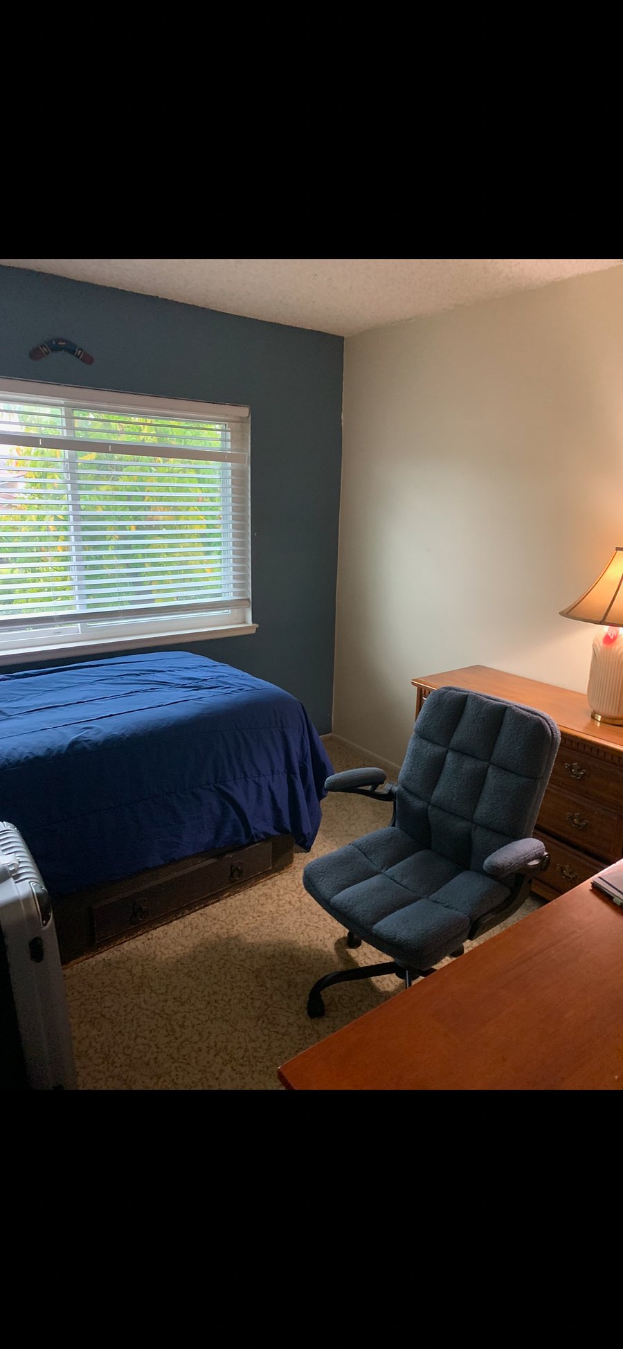 Furnished Finder property 873050_1 photo 5