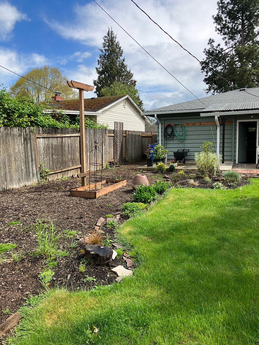 Backyard / garden
