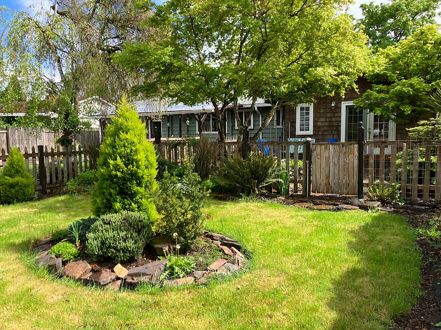 Backyard
