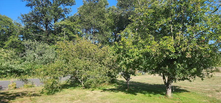 Furnished Finder property 873152_1 photo 13