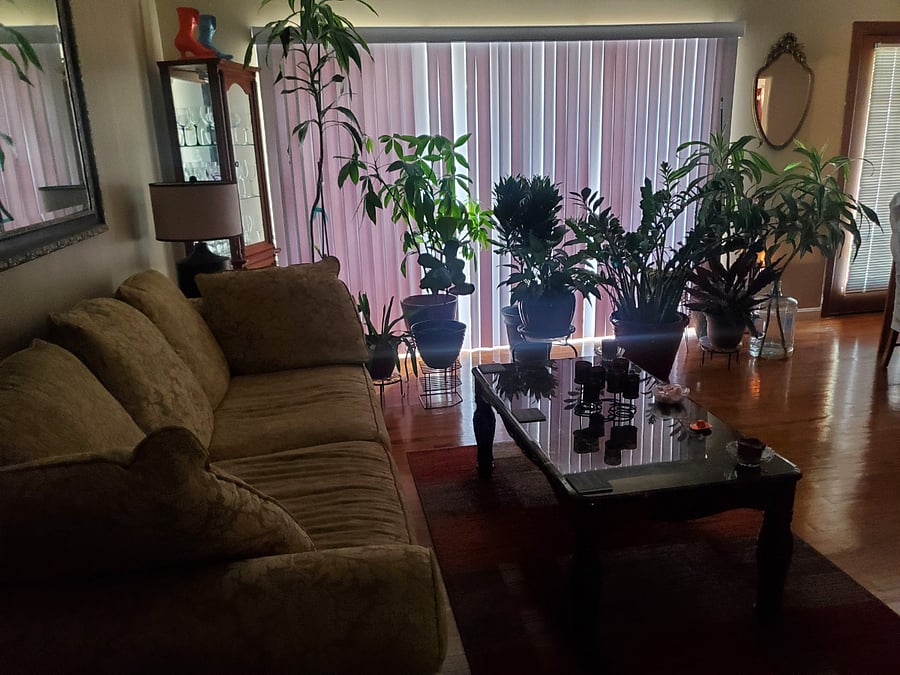 Furnished Finder property 873171_1 photo 3