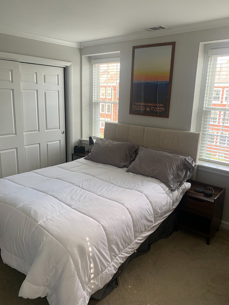 Furnished Finder property 873197_1 photo 12