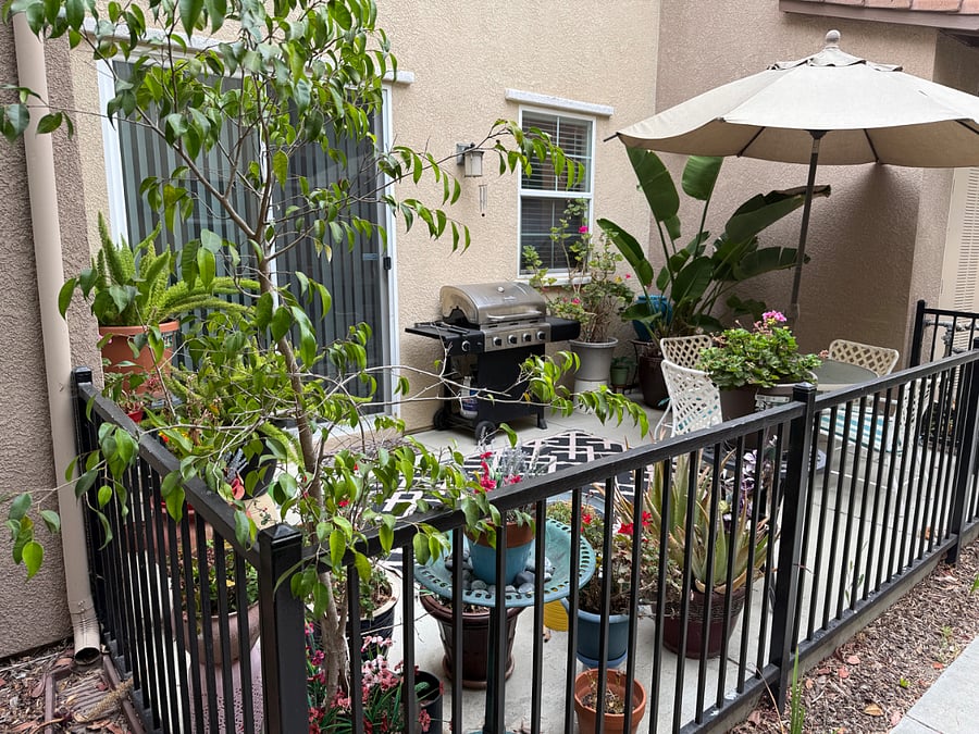 Furnished Finder property 873201_1 photo 7