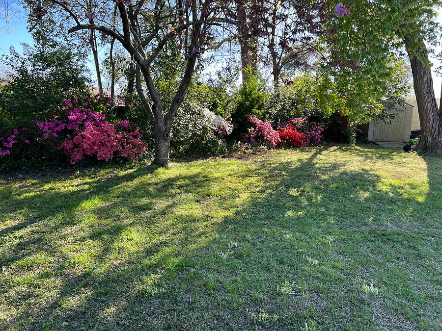 Large, private back yard.