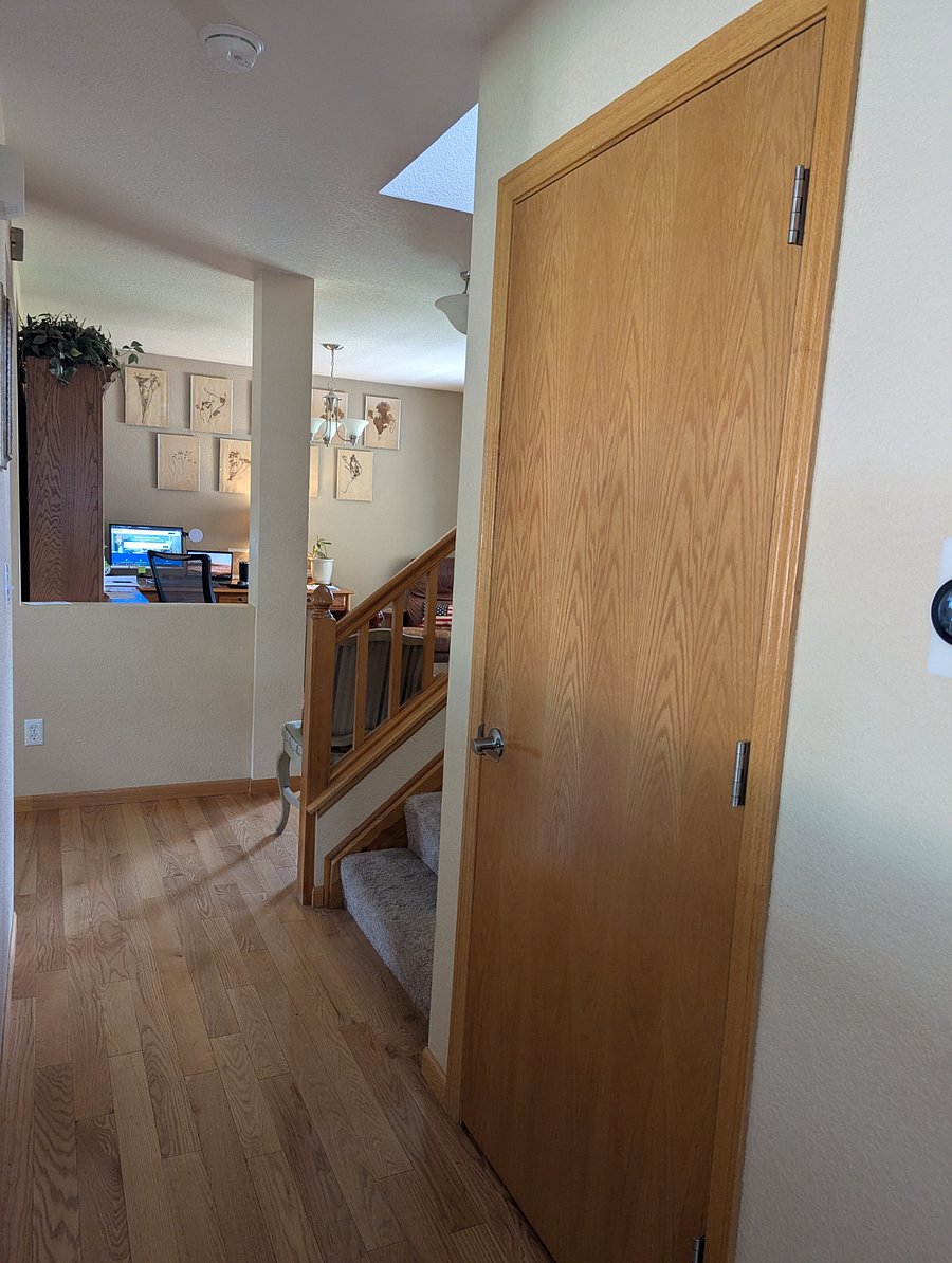Basement door