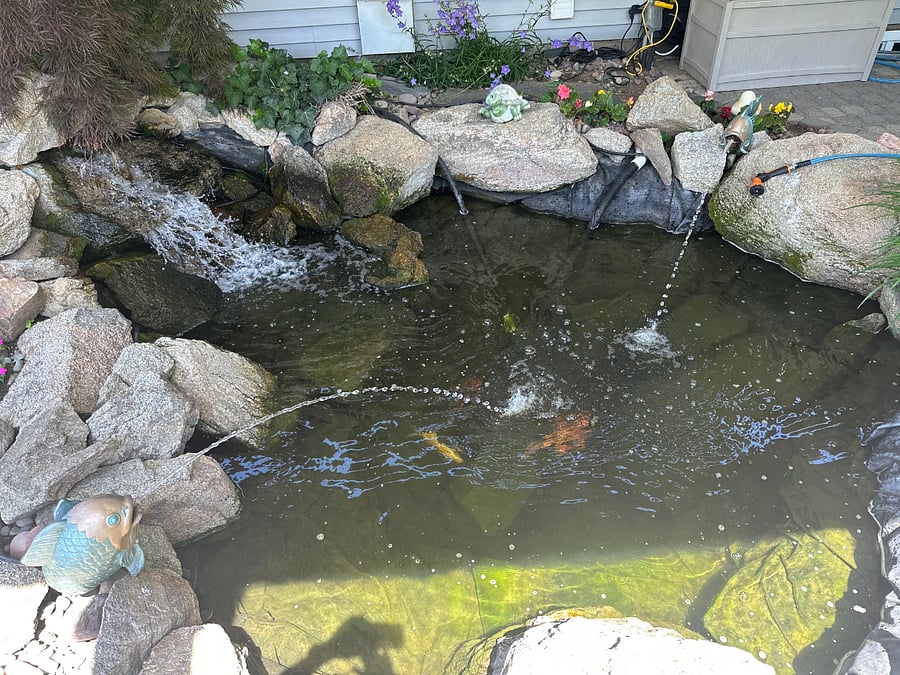 Yes....I name my koi. LOL