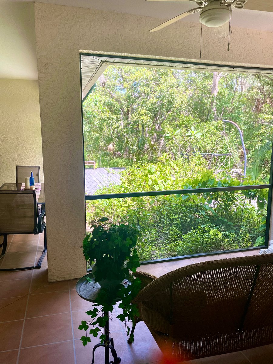 Furnished Finder property 873375_1 photo 22