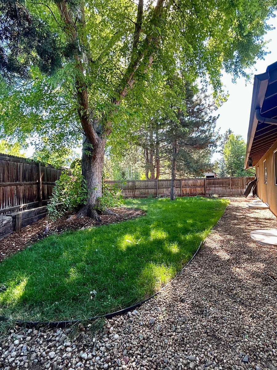 Side yard (wraps around from main yard) for more trees, edible and flowering bushes, shade, and privacy.