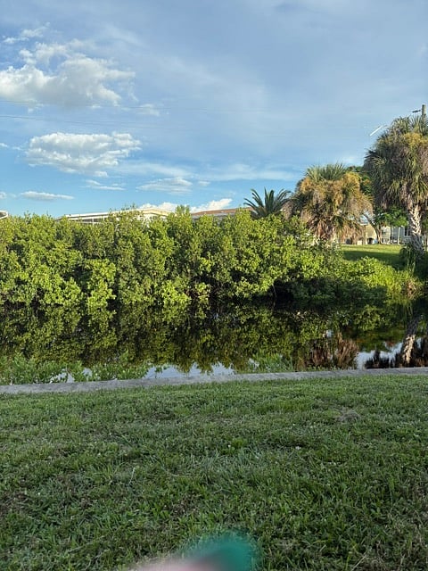 back yard 