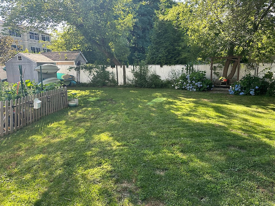 Backyard