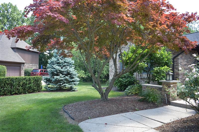 Furnished Finder property 873654_1 photo 32