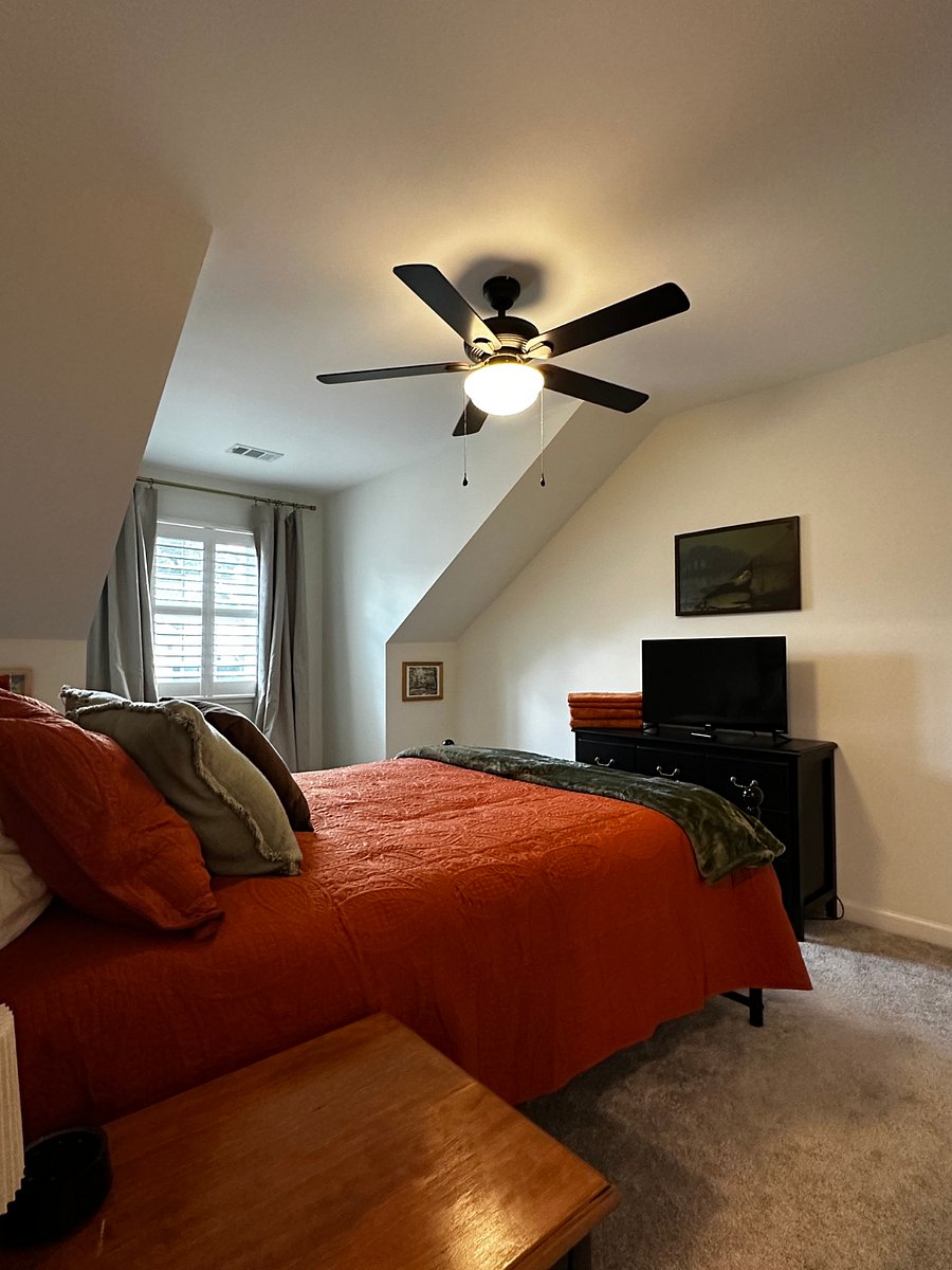 Furnished Finder property 873718_1 photo 15