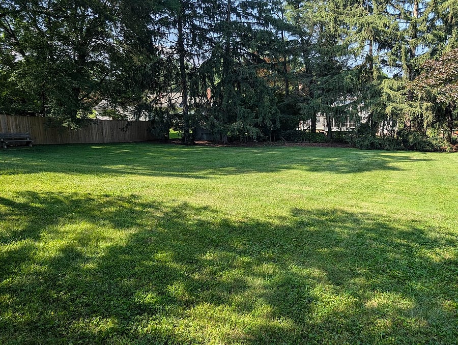 Enjoy view of bird-filled spacious yard