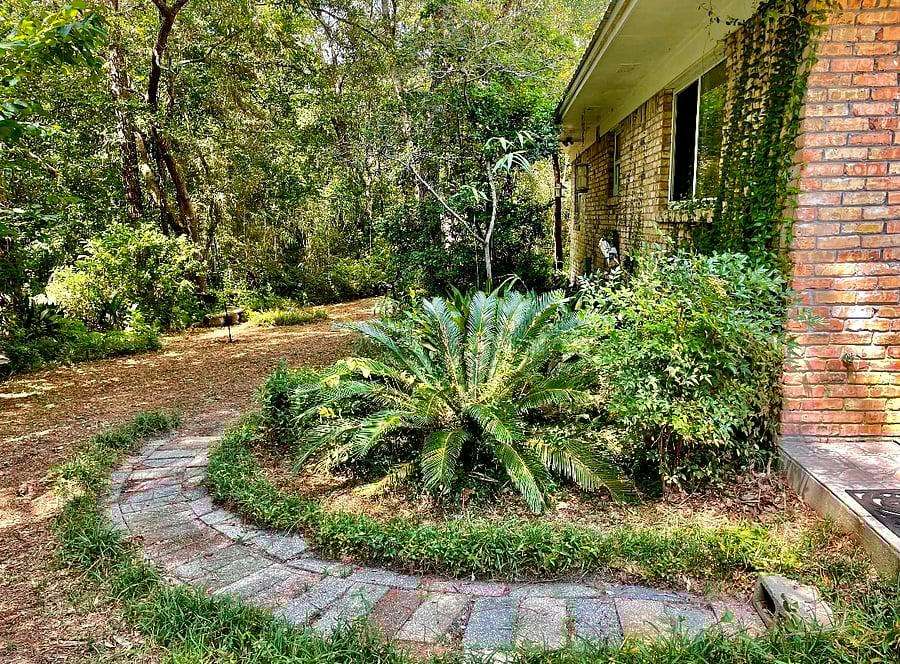 Walkway to back yard