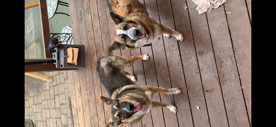 Noah and Sadie
