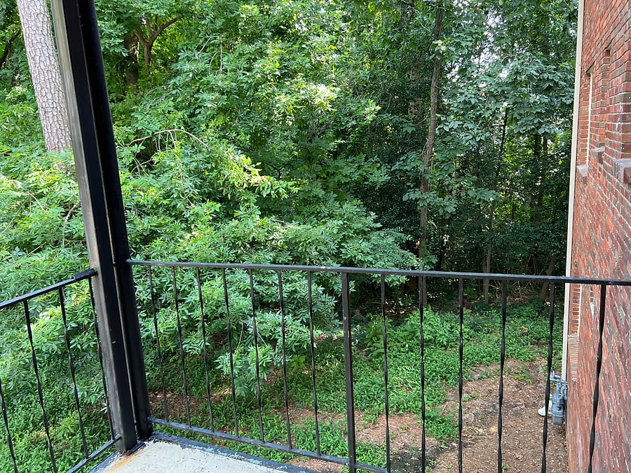 Furnished Finder property 874068_1 photo 49
