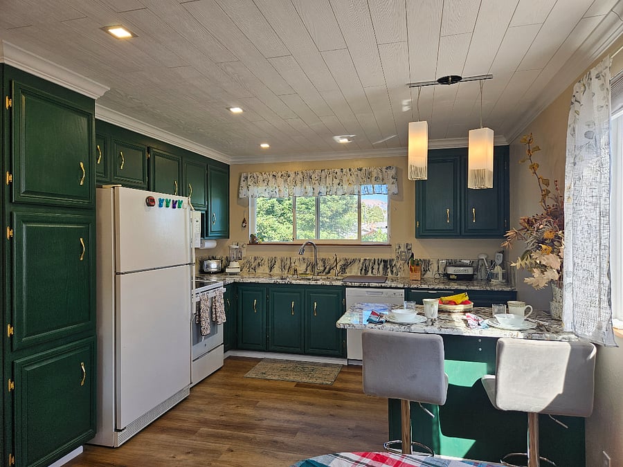 Kitchen, facing back yard