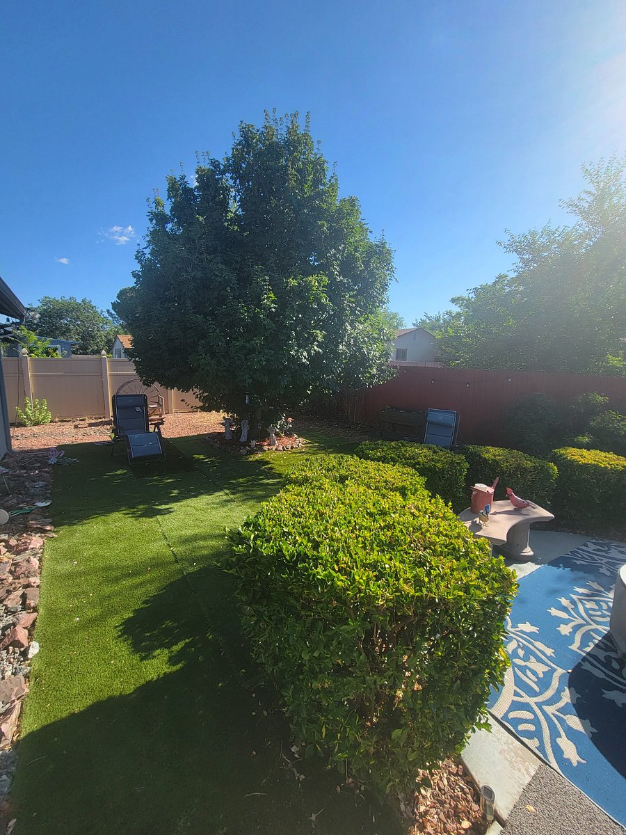 Furnished Finder property 874101_1 photo 11