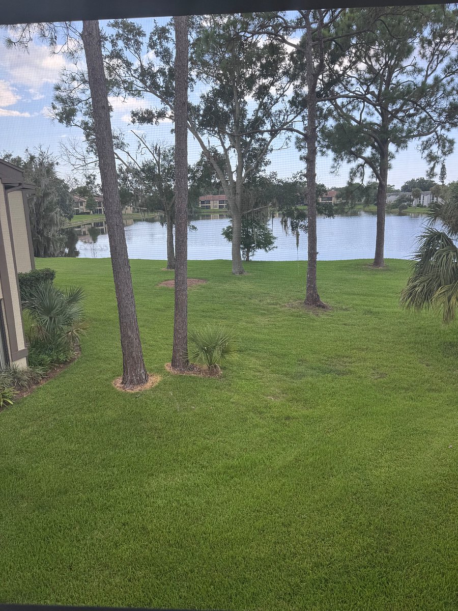 Furnished Finder property 874115_1 photo 18