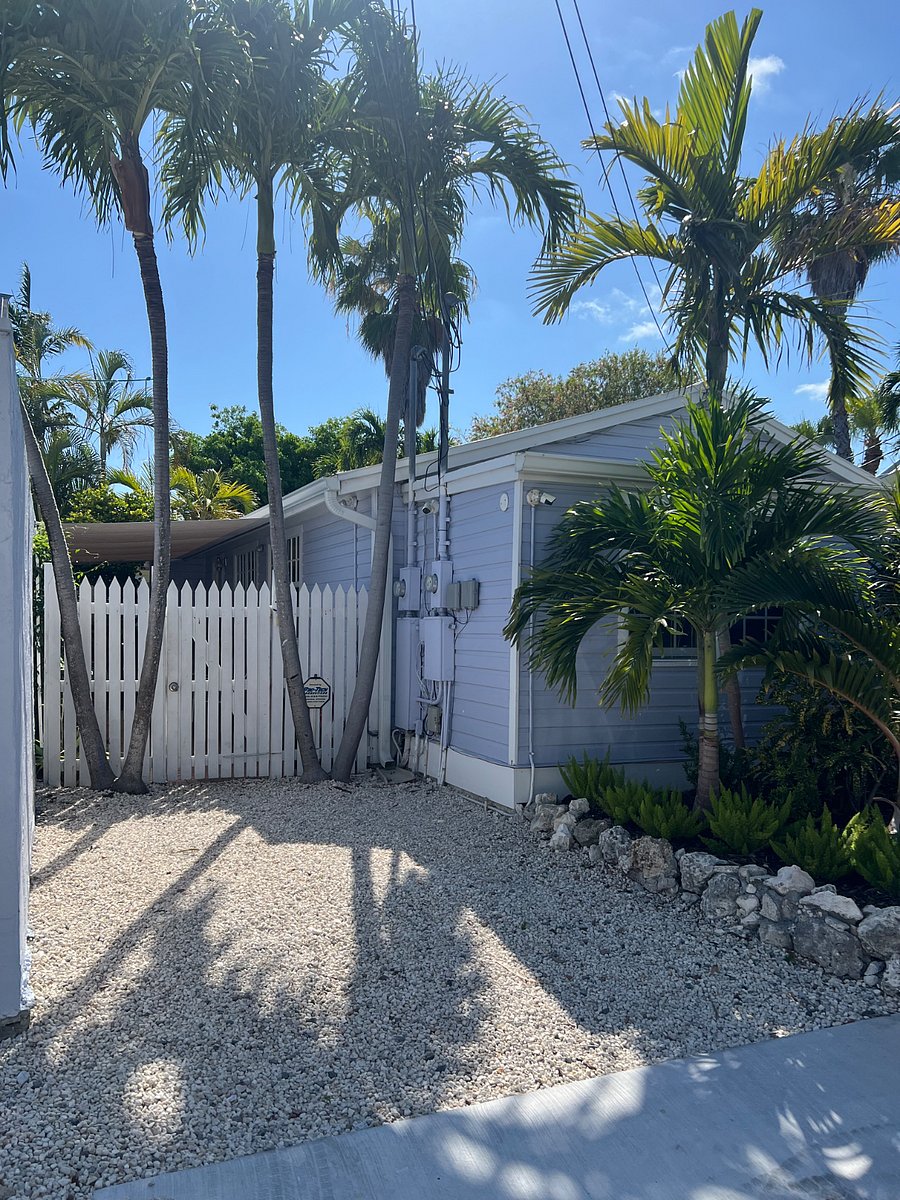 Furnished Finder property 874191_1 photo 11