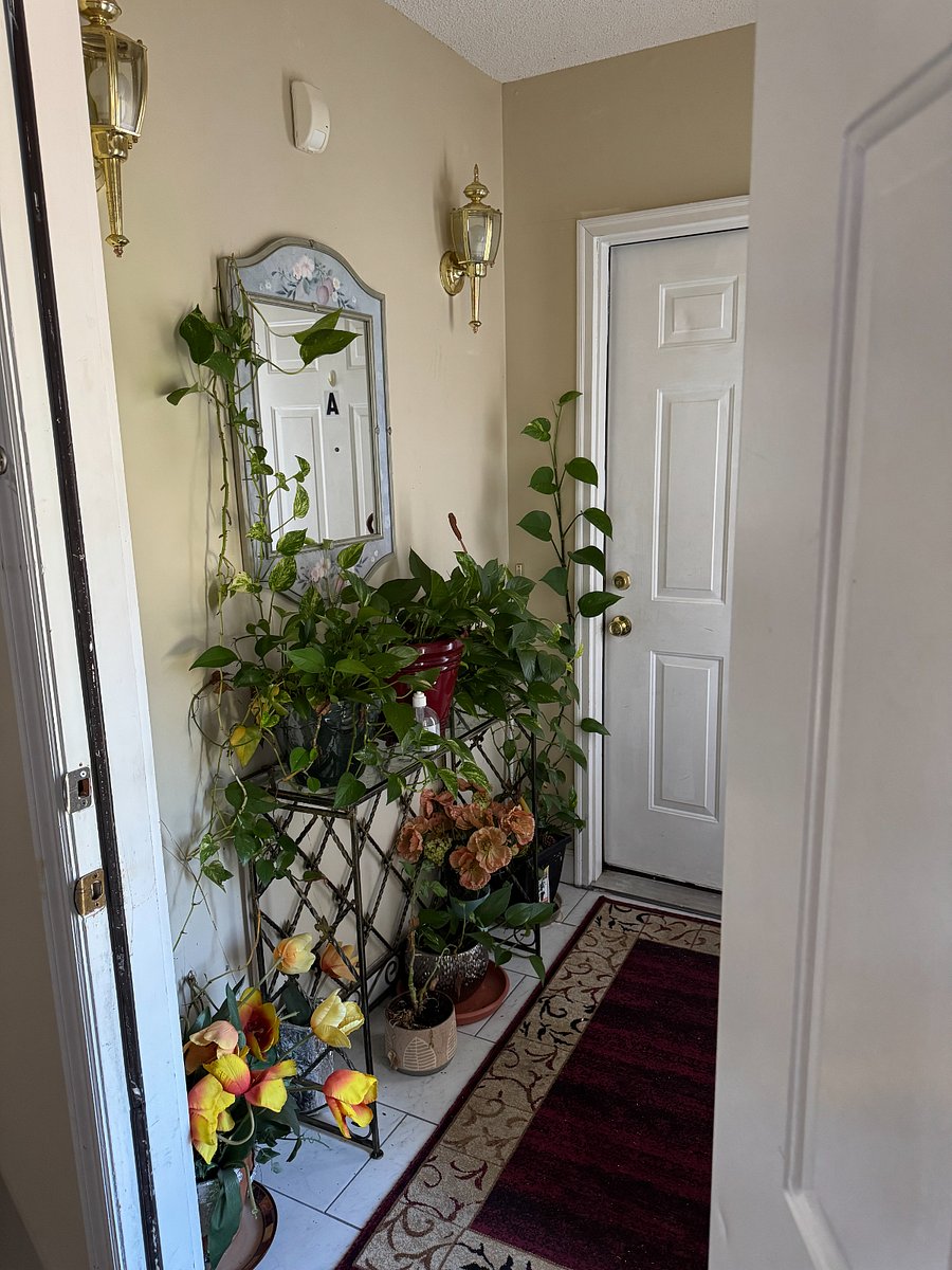 Furnished Finder property 874200_2 photo 8