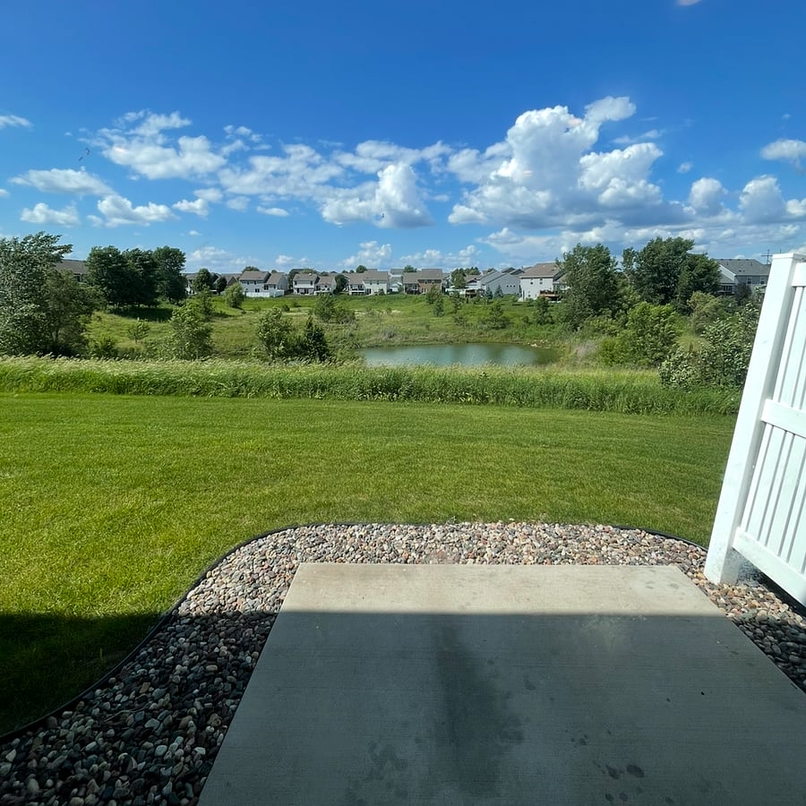 Backyard view