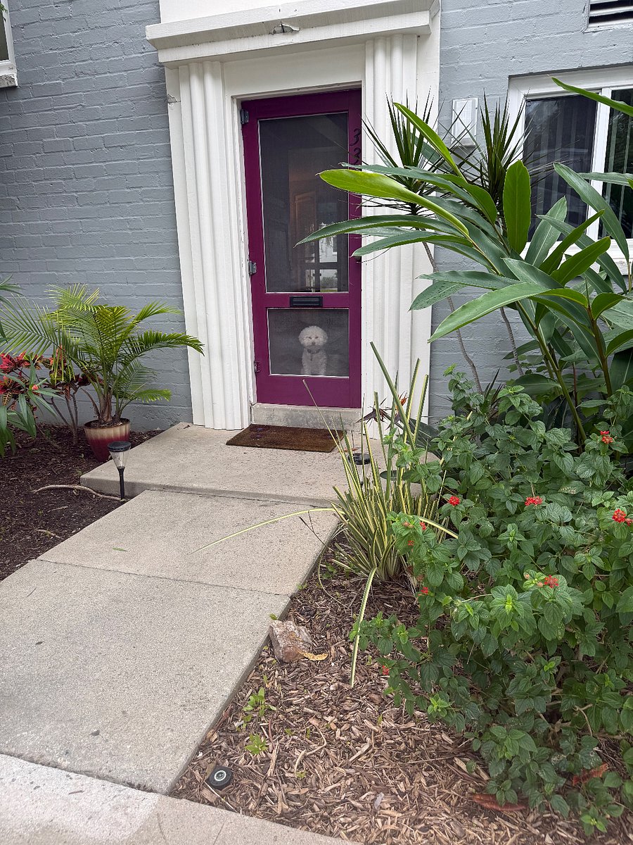 Front door