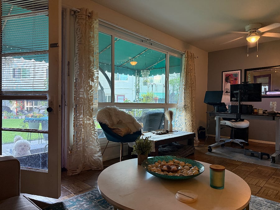 Living Room window