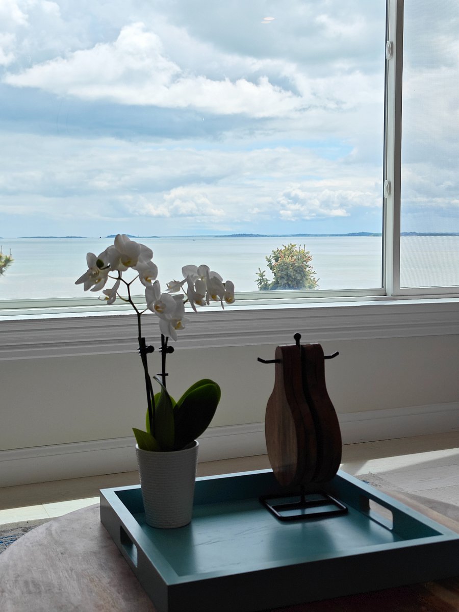 Furnished Finder property 874271_1 photo 14