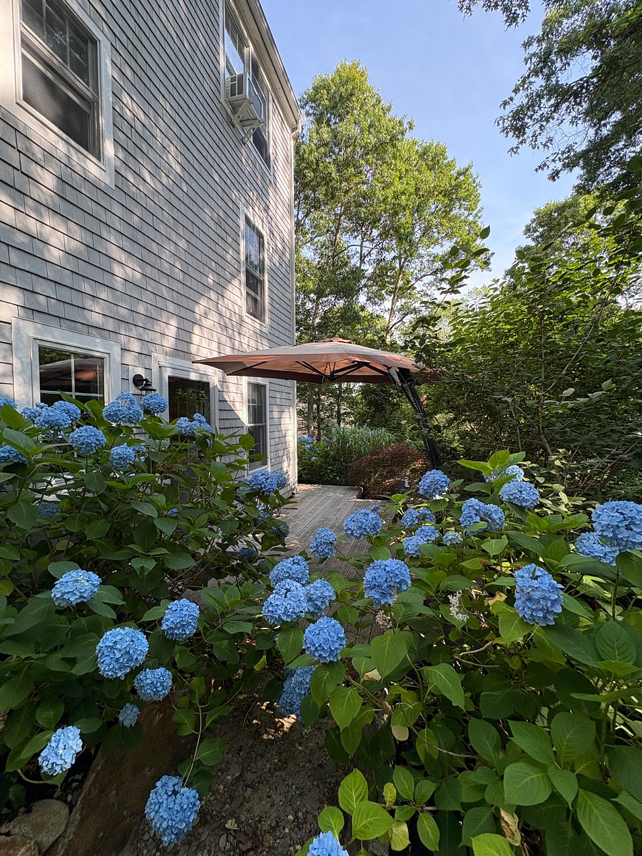 Furnished Finder property 874353_1 photo 10