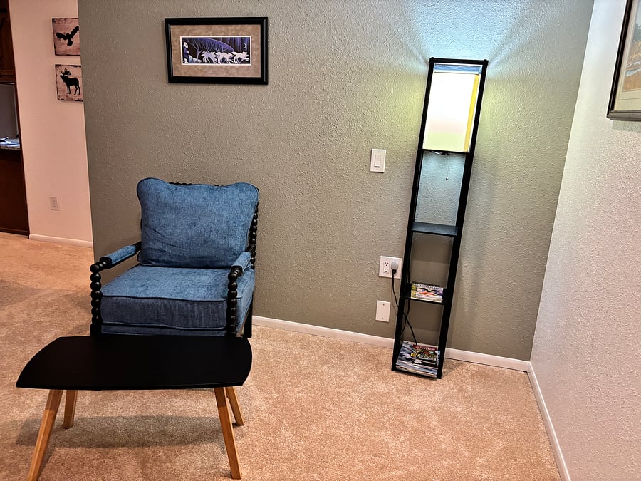 Shared reading area with desk in shared living room area. 