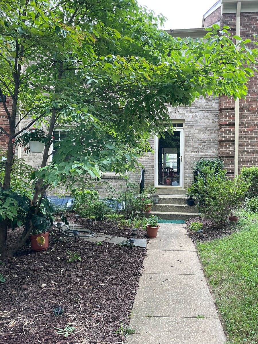 Furnished Finder property 874431_1 photo 31