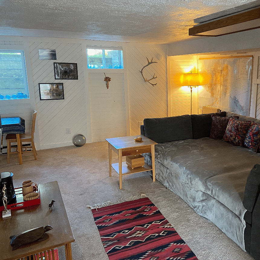 Main living space downstairs.