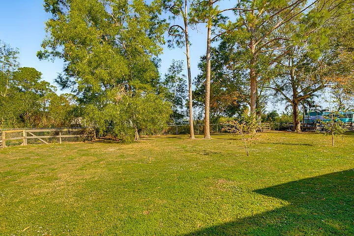 Furnished Finder property 874466_1 photo 18