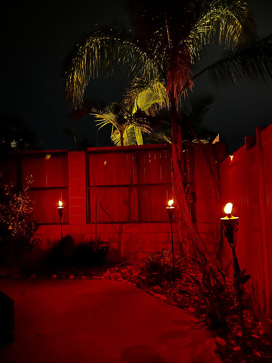 Furnished Finder property 874826_1 photo 9
