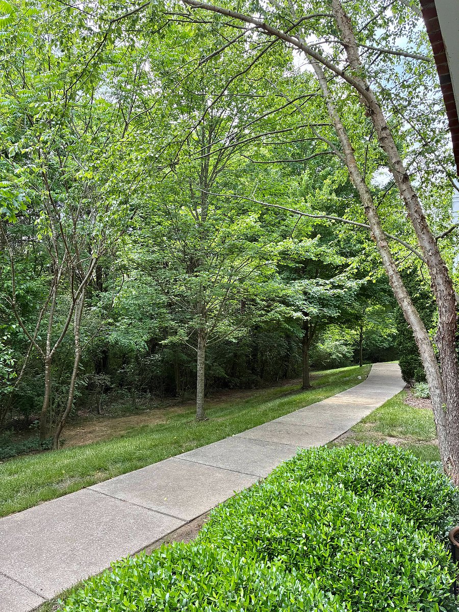 Furnished Finder property 874832_1 photo 10