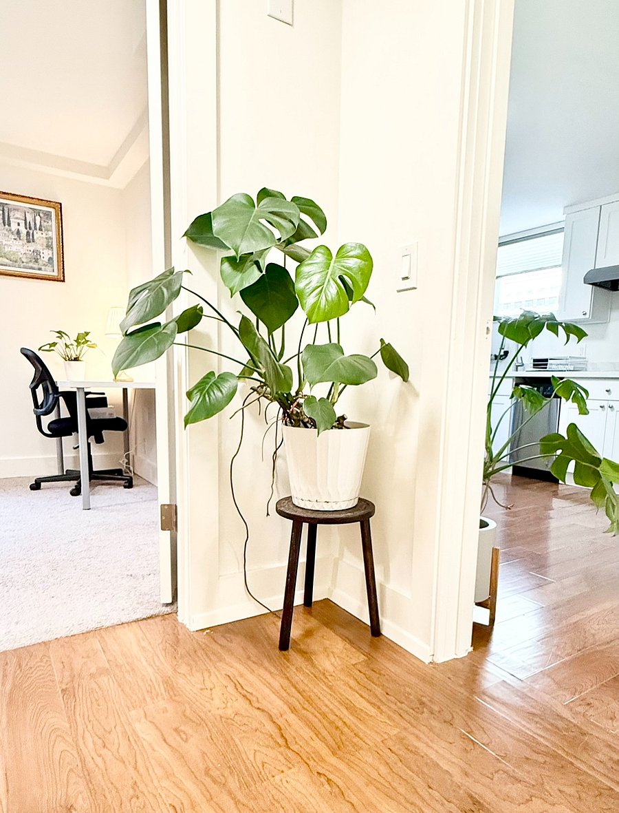 Furnished Finder property 874895_1 photo 14