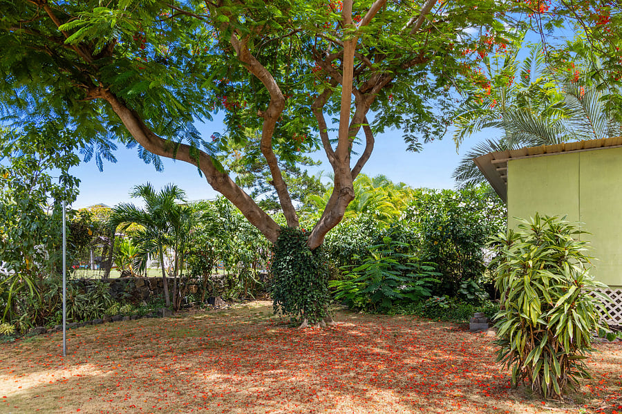 Furnished Finder property 874906_1 photo 15