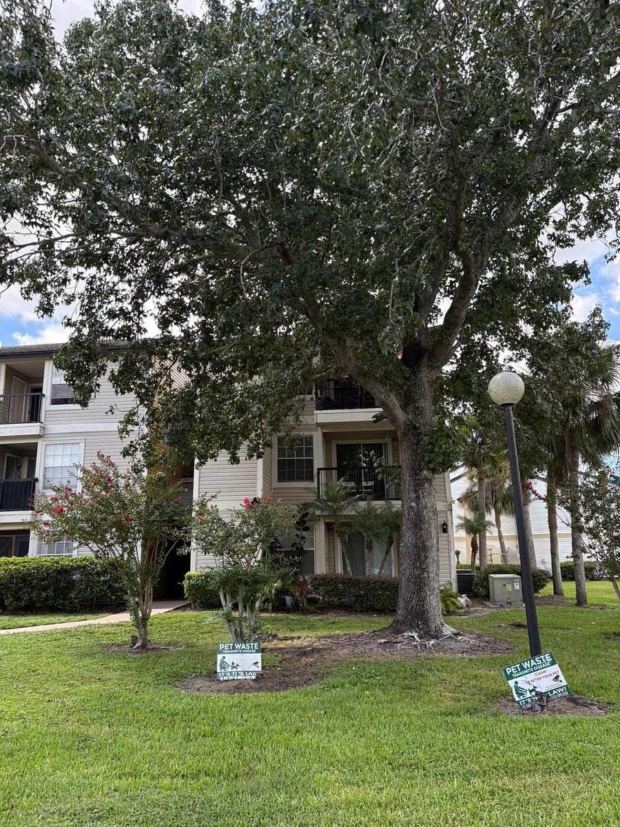 Furnished Finder property 874951_1 photo 13