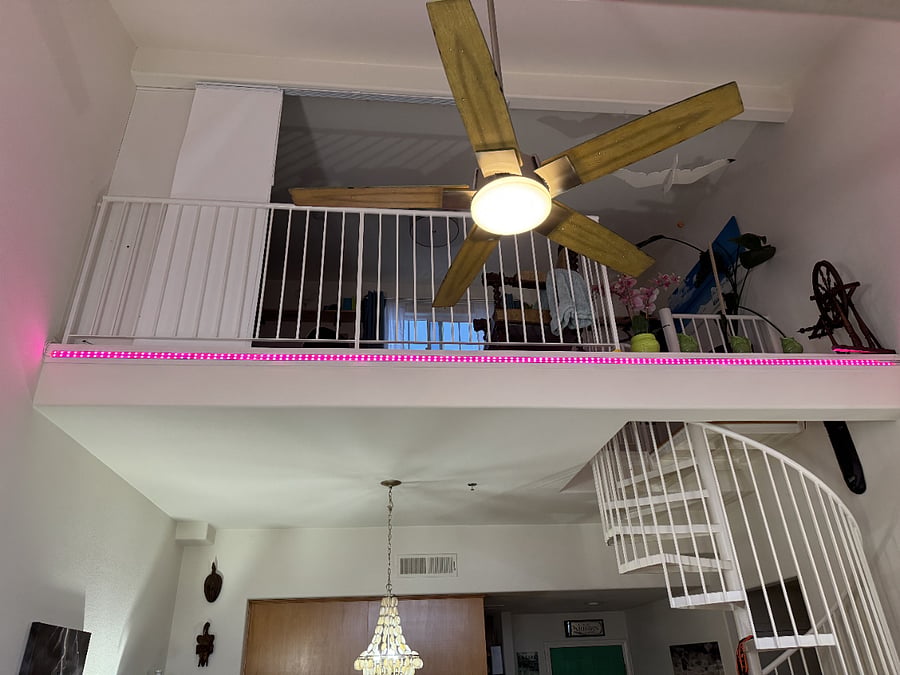 Furnished Finder property 874980_1 photo 10