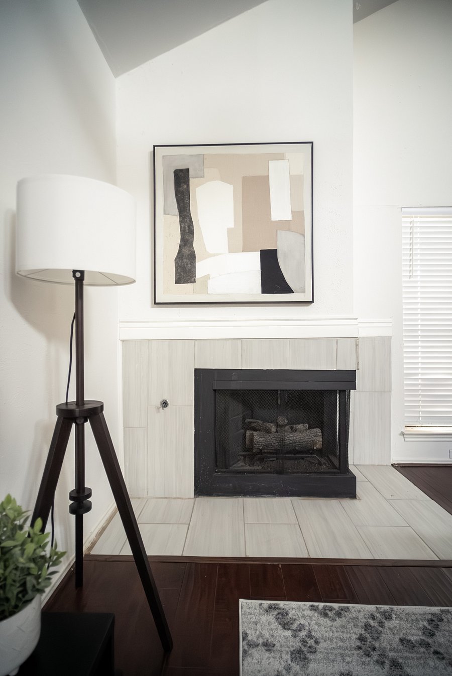Living Room Fire Place