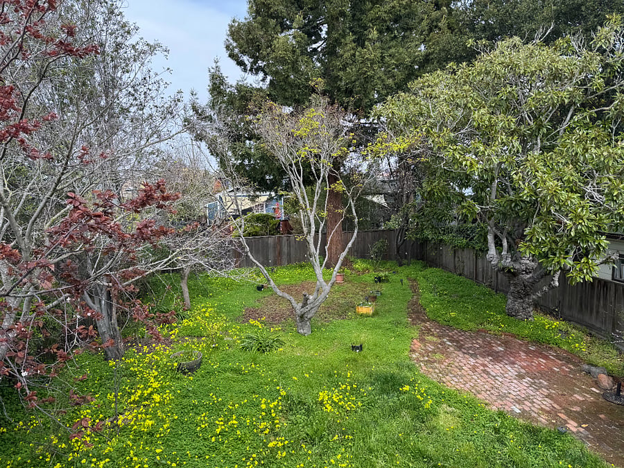Furnished Finder property 875197_1 photo 10