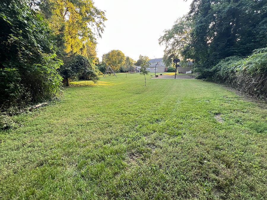Backyard