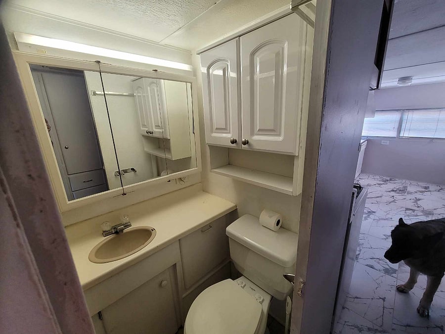 Bathroom and Kitchen - sorry, the adorable pup does not come with the reservation. 