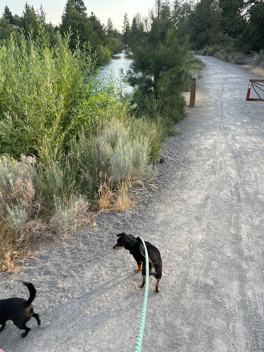 Canal Trail connects to the Deschutes River Trail
