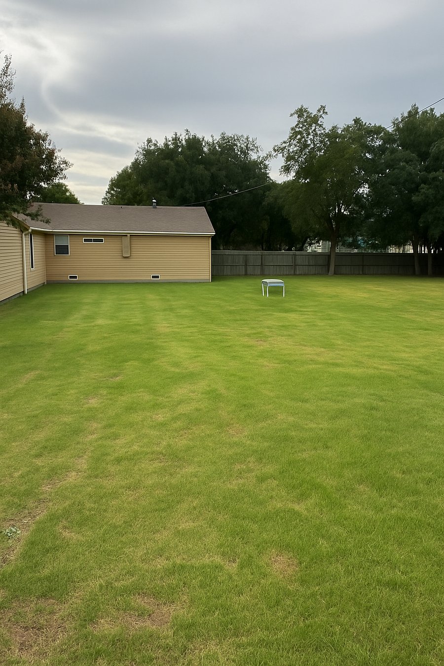 Backyard