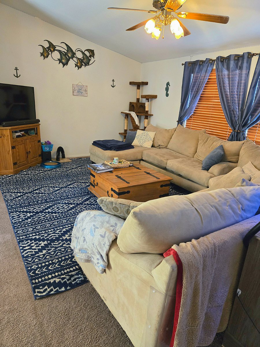 Shared living room