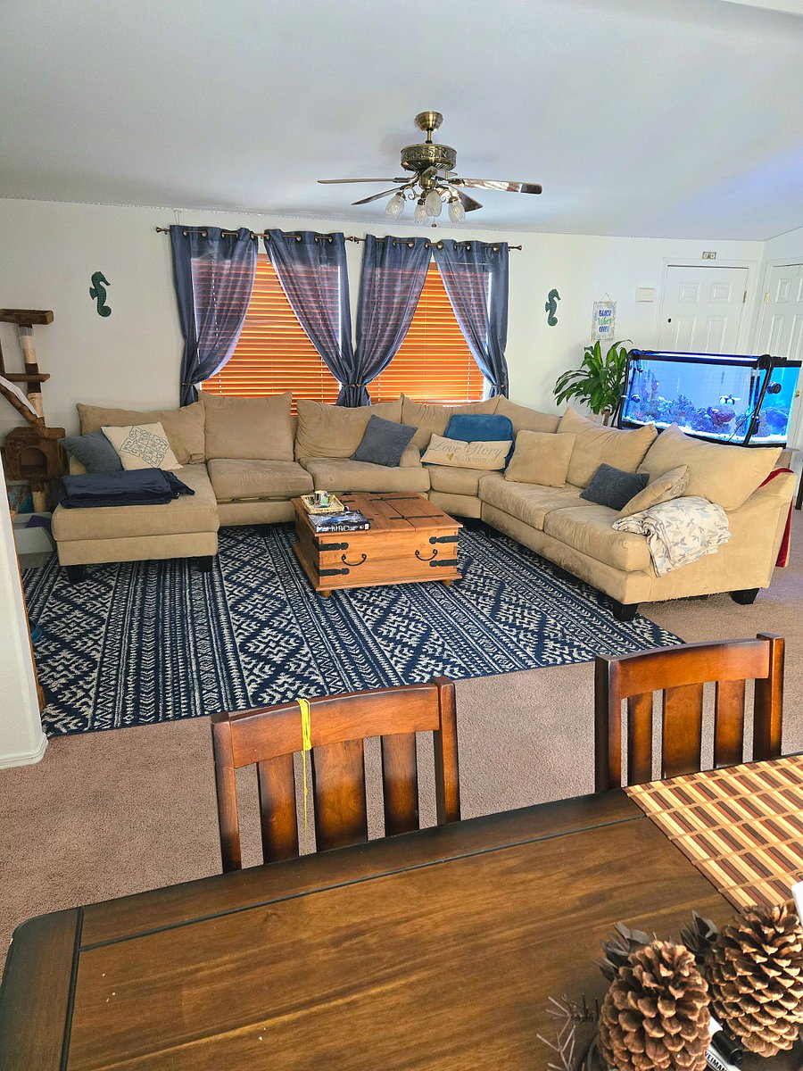 Shared living room and dining room. Fish tank no longer in living room.