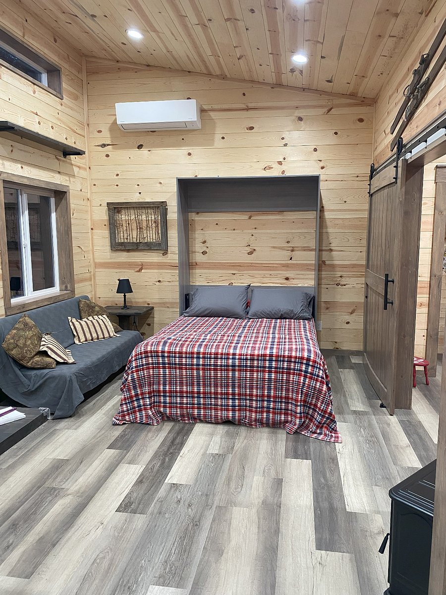 Queen Murphy Bed in living room
