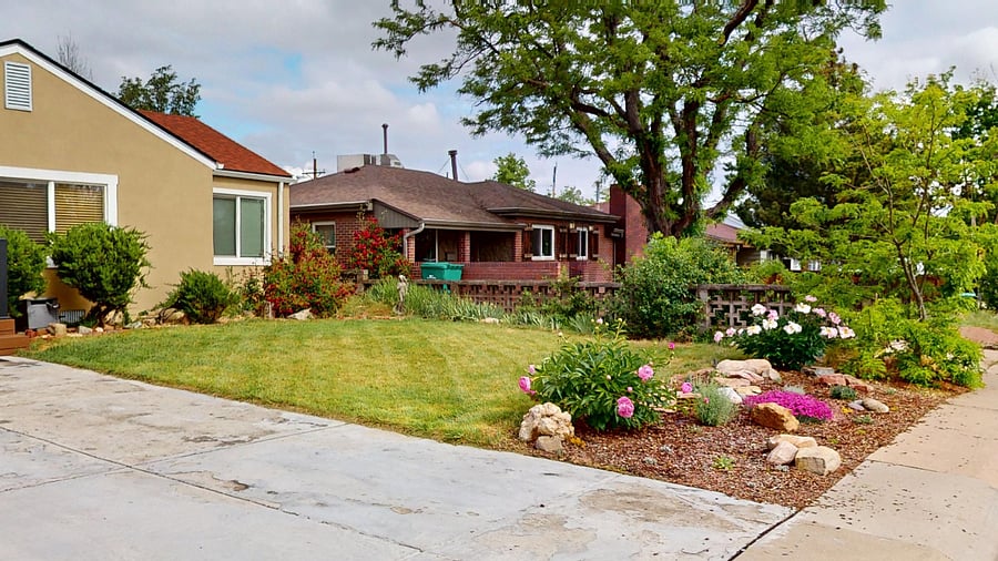 Yard and rock garden